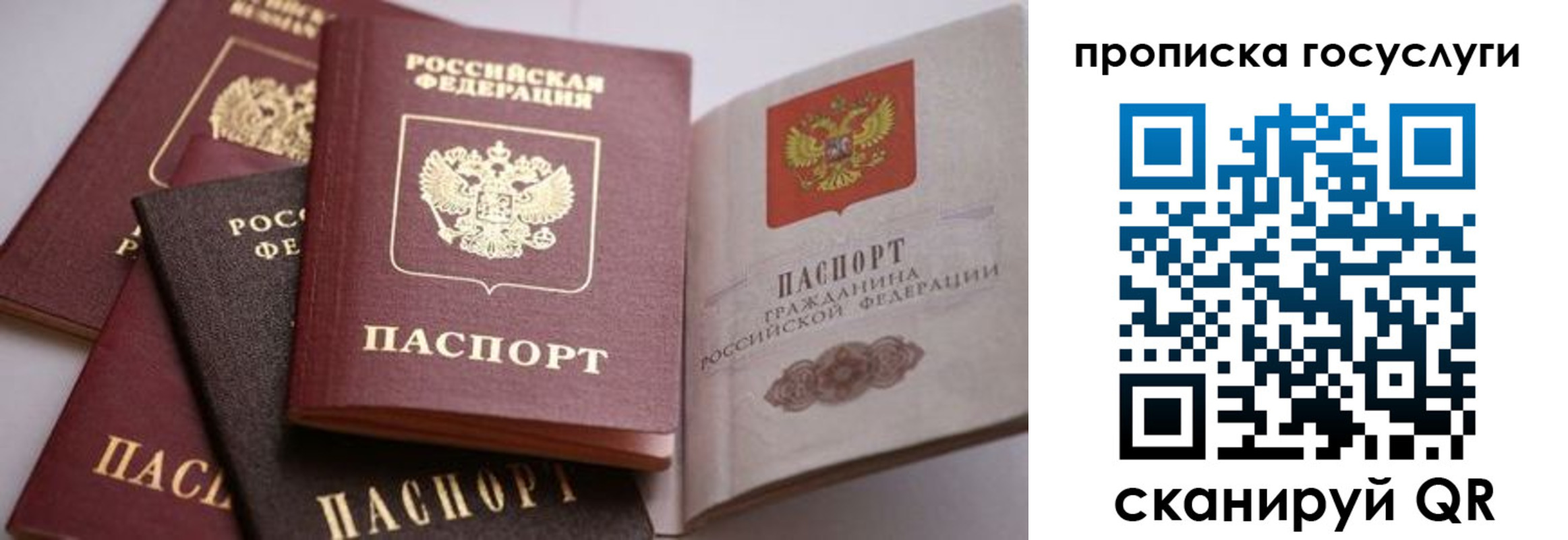 прописка иностранных граждан в Алуште